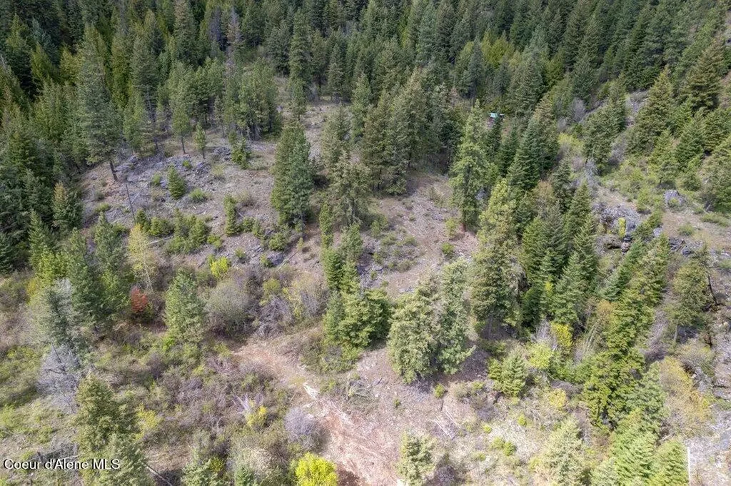1131 Cabin Ridge Road Spirit Lake ID 83869