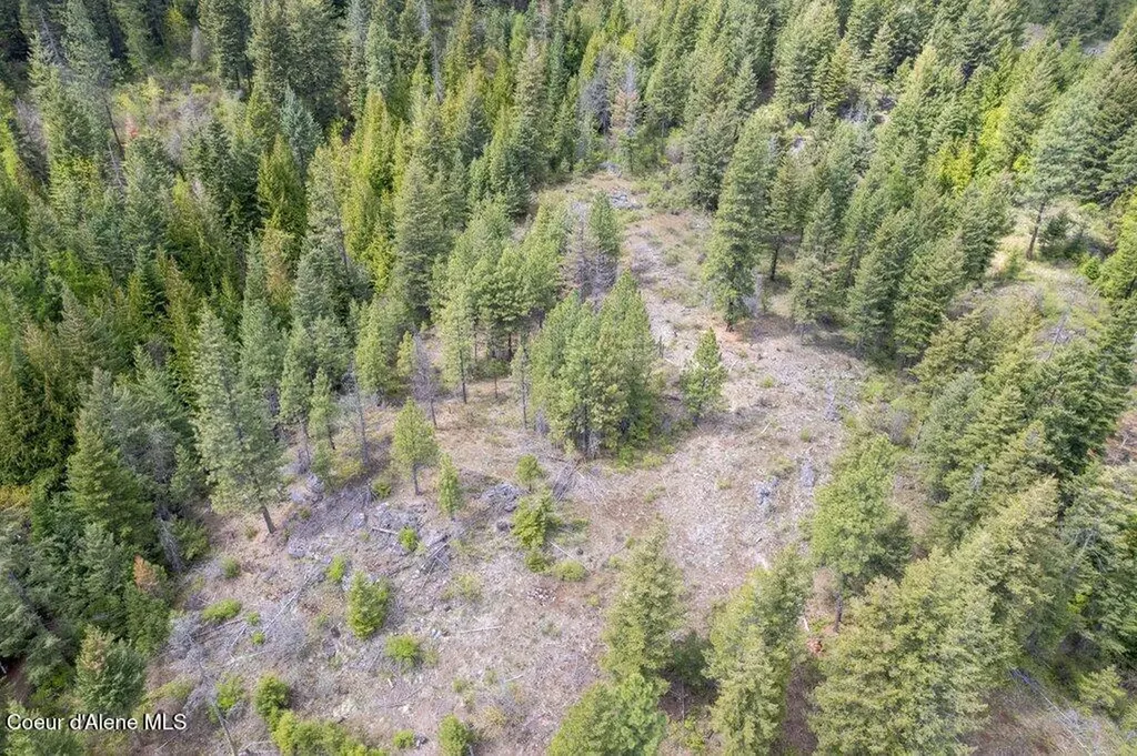 1131 Cabin Ridge Road Spirit Lake ID 83869