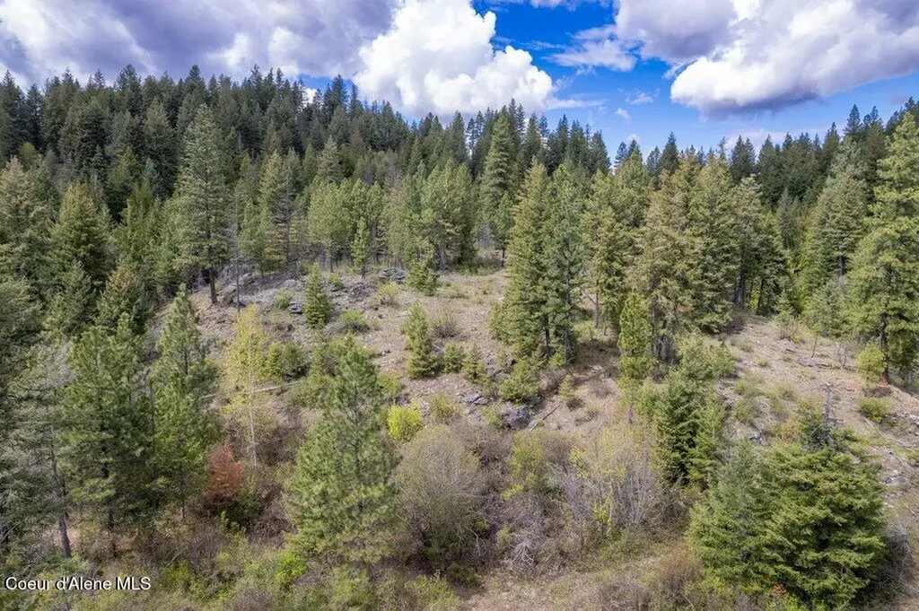 1131 Cabin Ridge Road Spirit Lake ID 83869