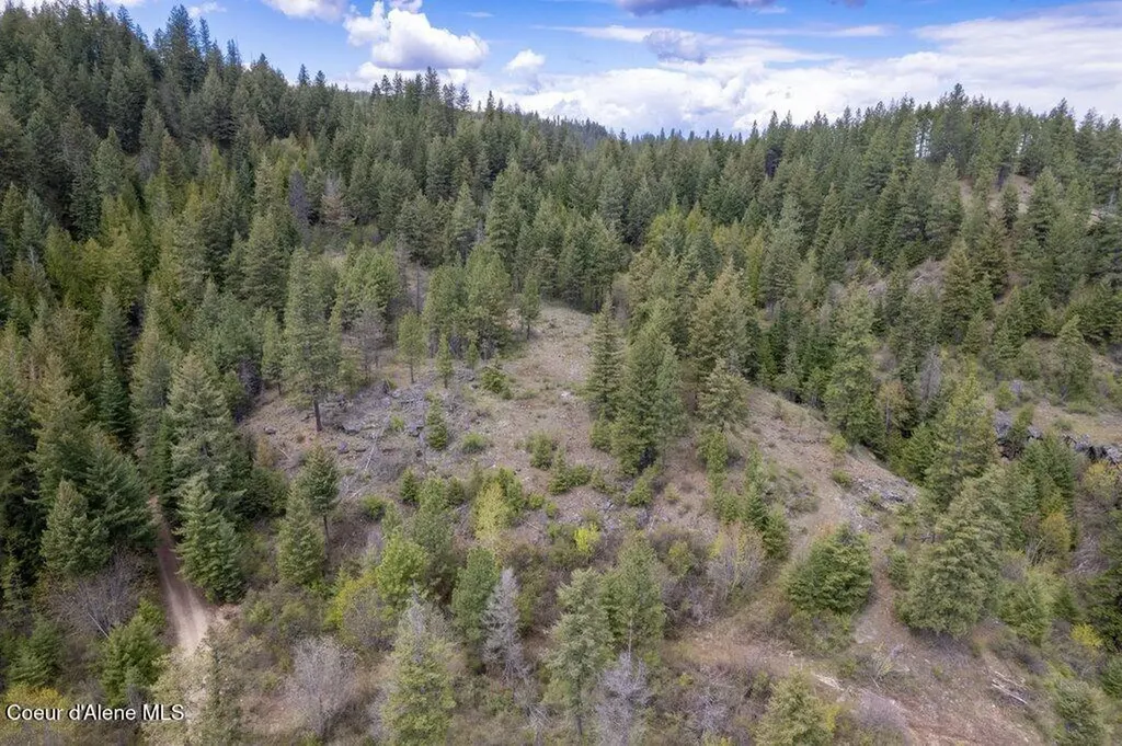 1131 Cabin Ridge Road Spirit Lake ID 83869