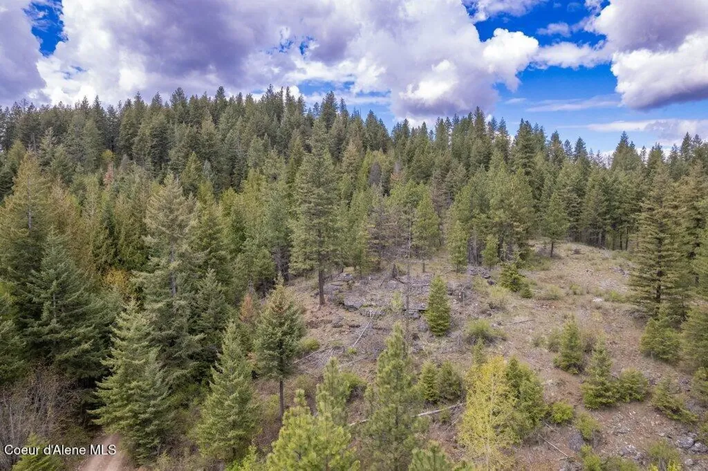 1131 Cabin Ridge Road Spirit Lake ID 83869