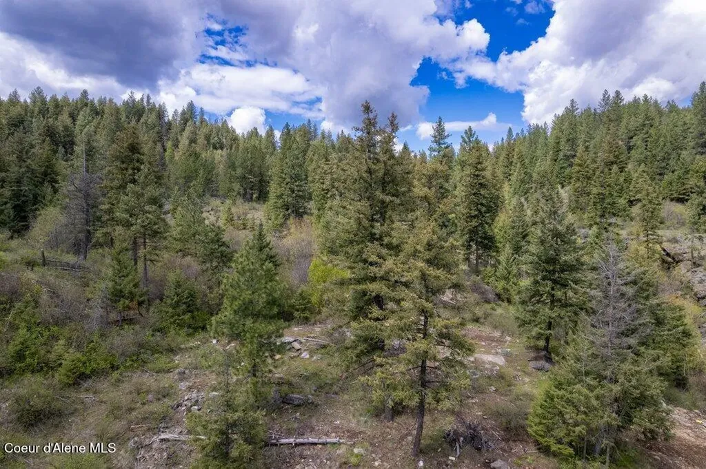 1131 Cabin Ridge Road Spirit Lake ID 83869