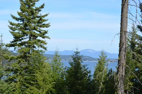 Lot 27 Ironstone Road Harrison ID 83833