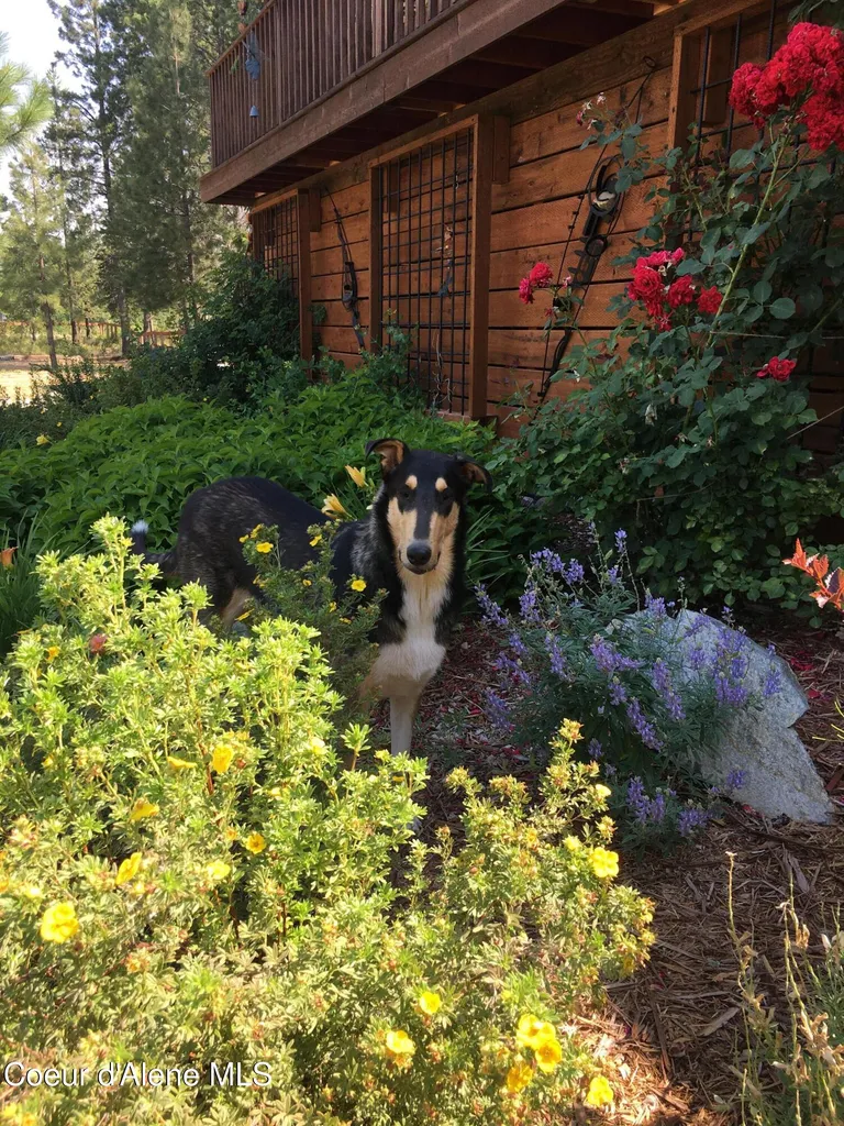 2110 Blue Sky Road Bonners Ferry ID 83805