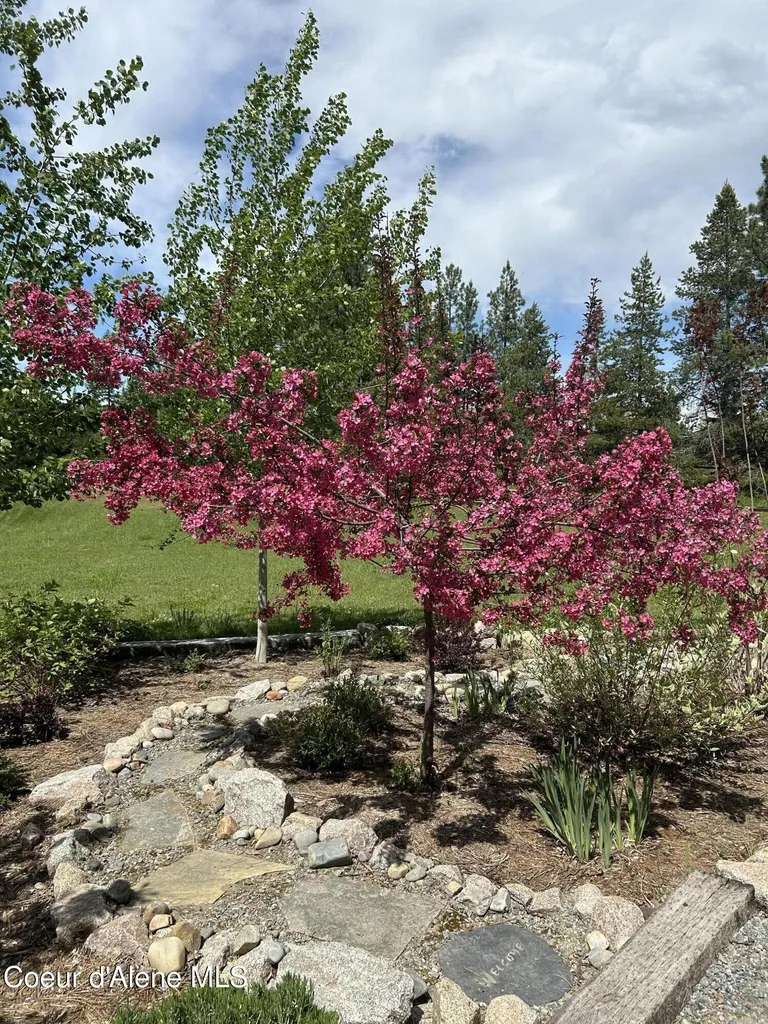 2110 Blue Sky Road Bonners Ferry ID 83805