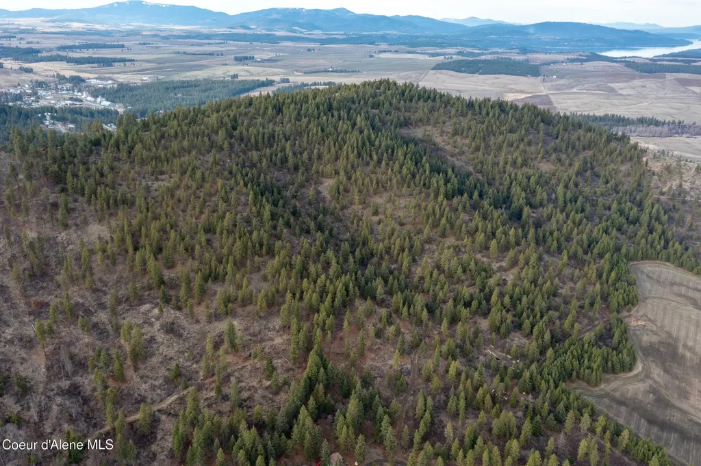 Lot 3 Worley ID 83876