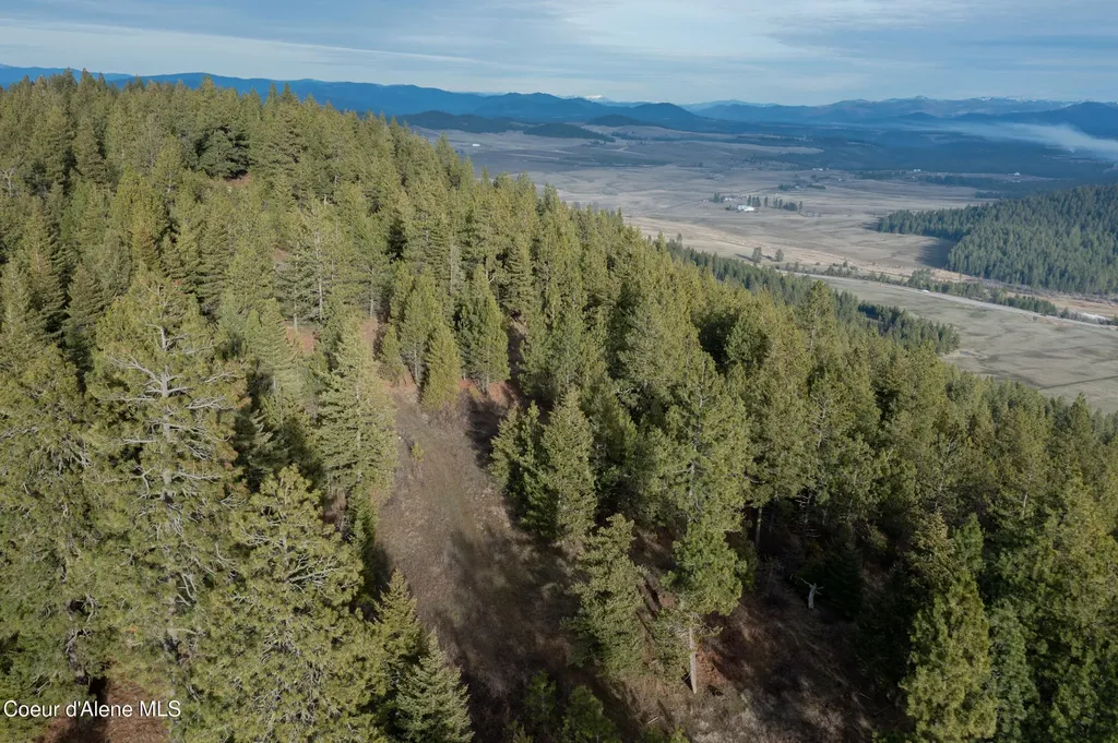 Lot 3 Worley ID 83876