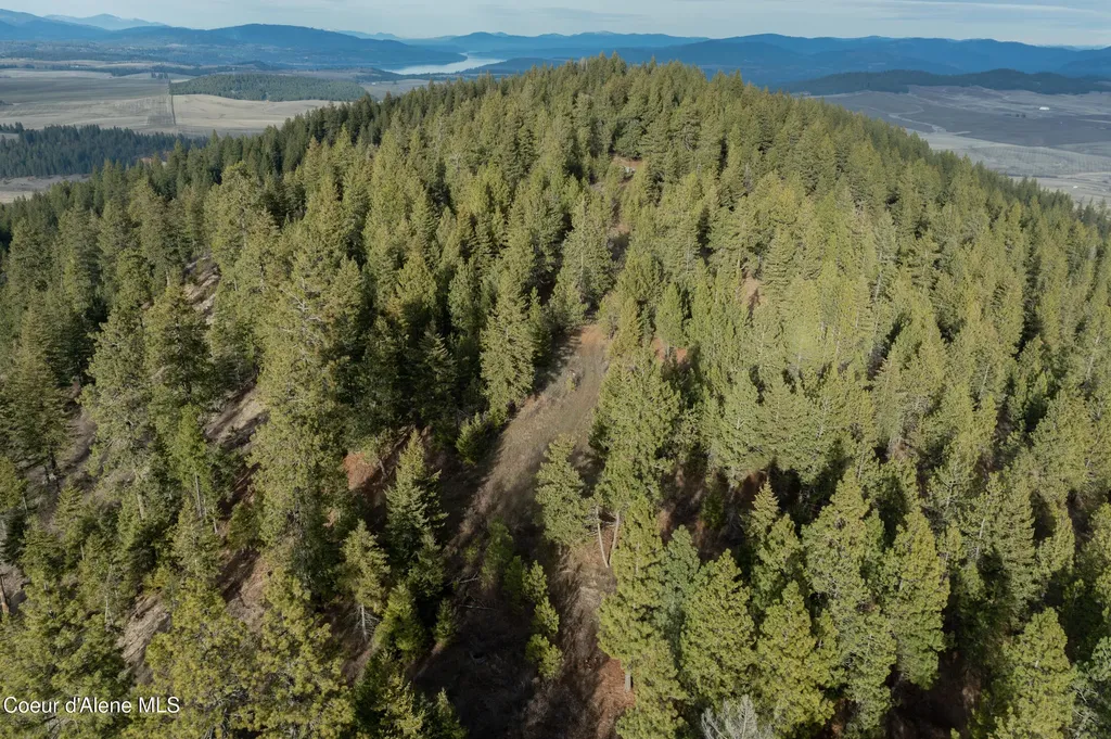 Lot 3 Worley ID 83876