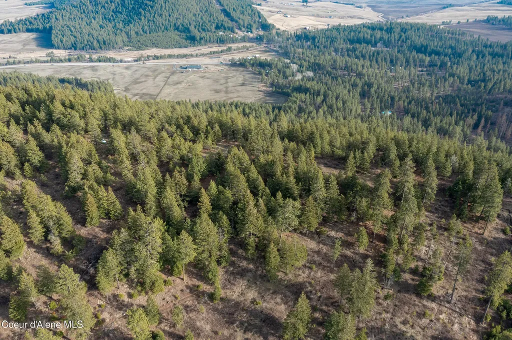 Lot 3 Worley ID 83876