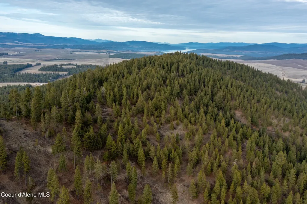 Lot 3 Worley ID 83876