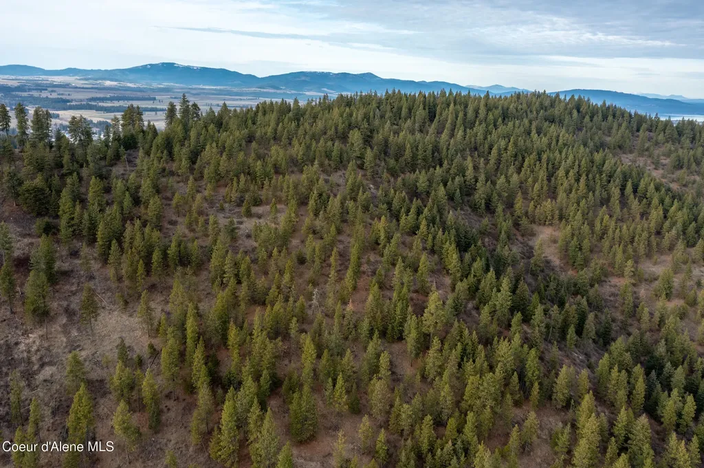 Lot 3 Worley ID 83876