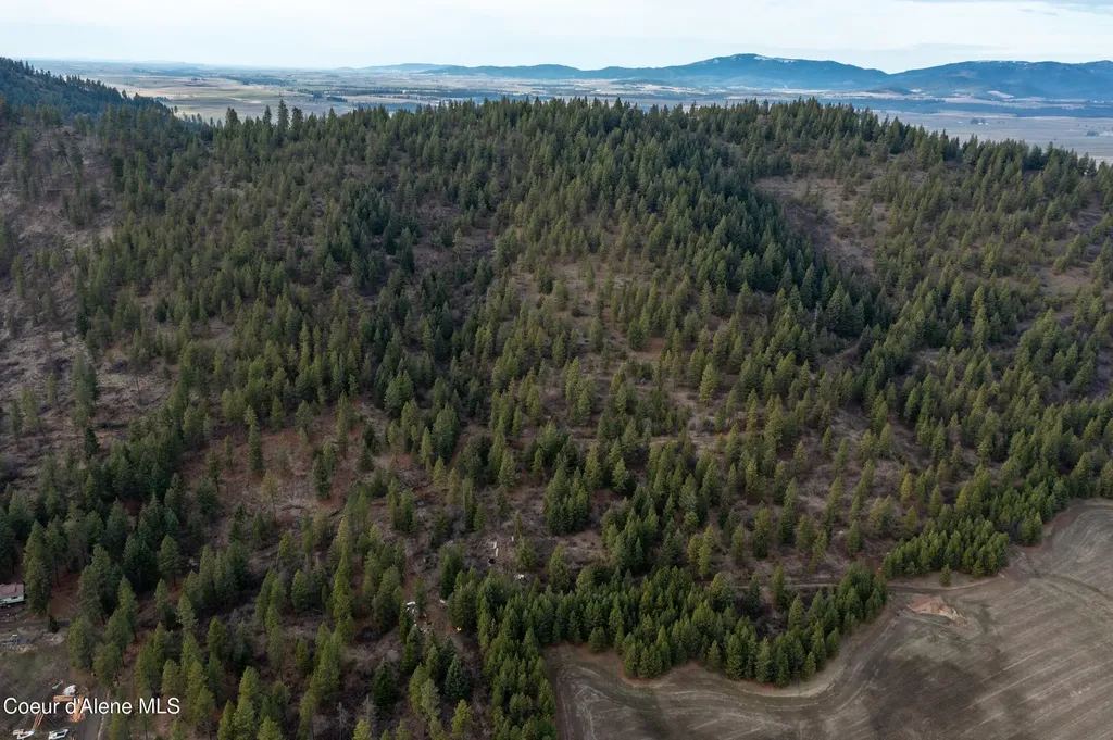 Lot 3 Worley ID 83876