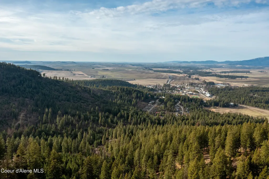 Lot 3 Worley ID 83876