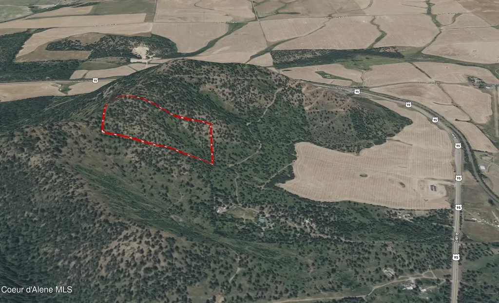 Lot 3 Worley ID 83876