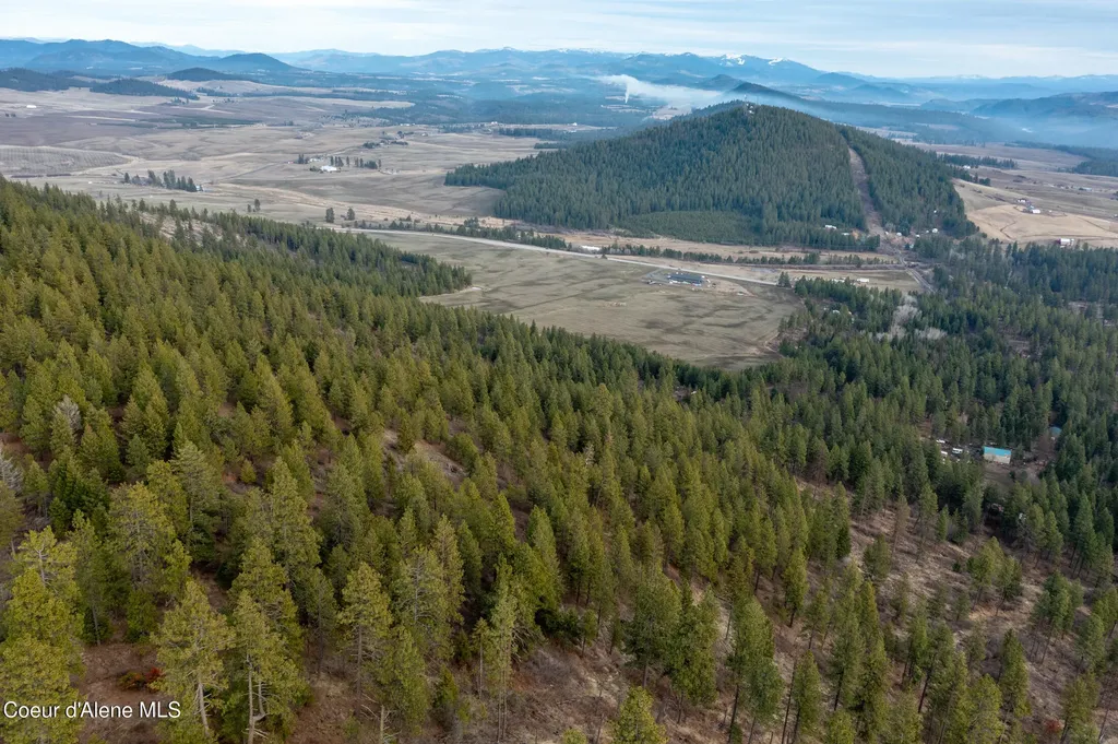 Lot 3 Worley ID 83876
