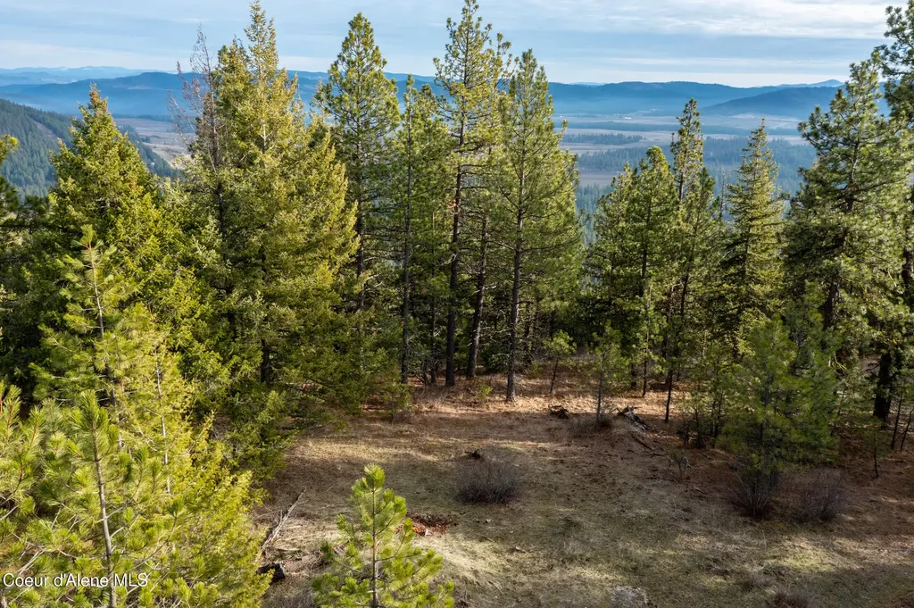 Lot 3 Worley ID 83876