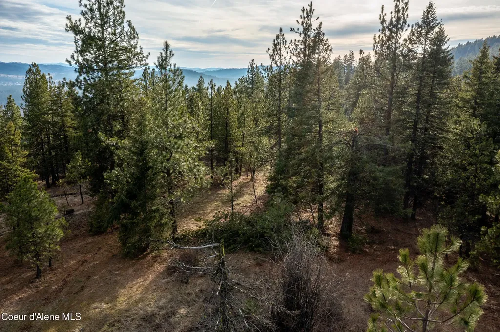 Lot 3 Worley ID 83876