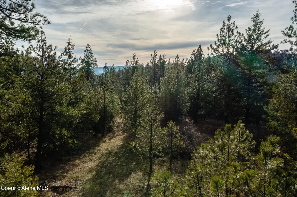 Lot 3 Worley ID 83876