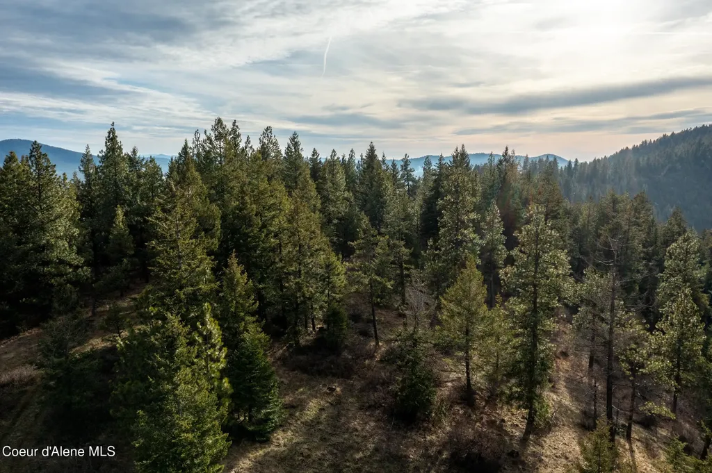 Lot 3 Worley ID 83876