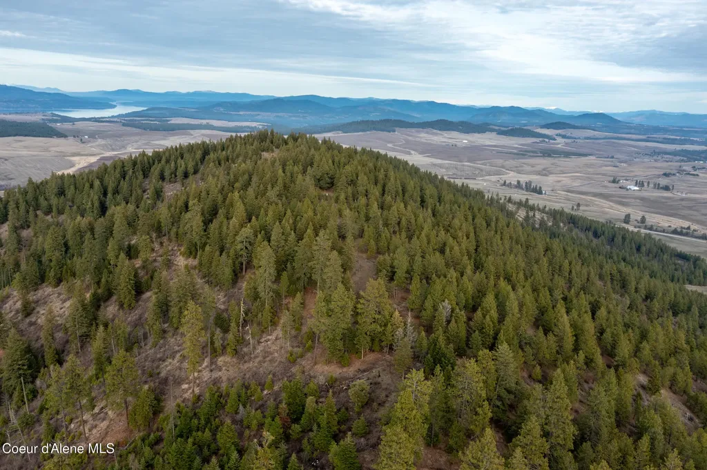Lot 3 Worley ID 83876