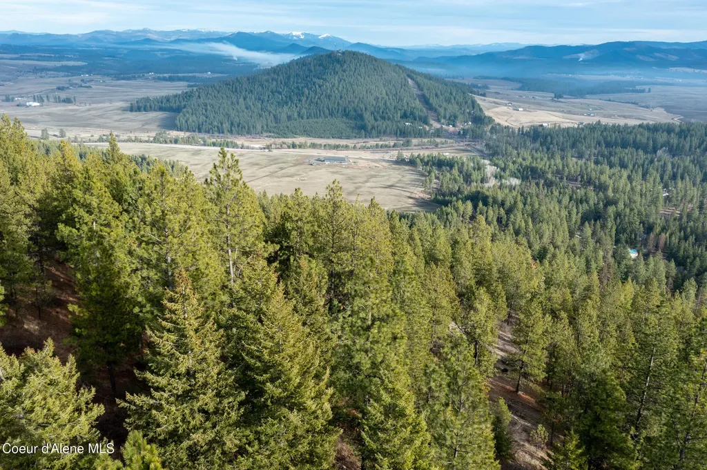 Lot 3 Worley ID 83876