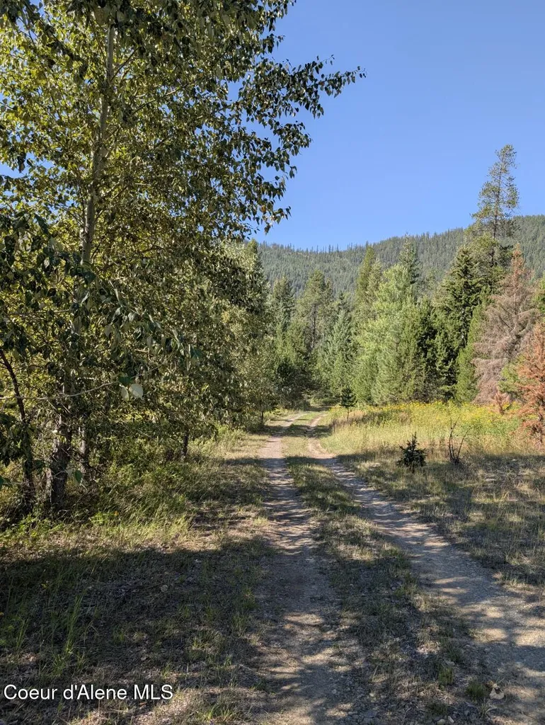 Nna 46 Acres Iron Horse Road Bonners Ferry ID 83805