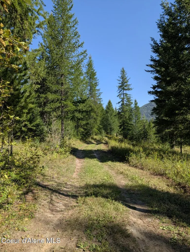 Nna 46 Acres Iron Horse Road Bonners Ferry ID 83805
