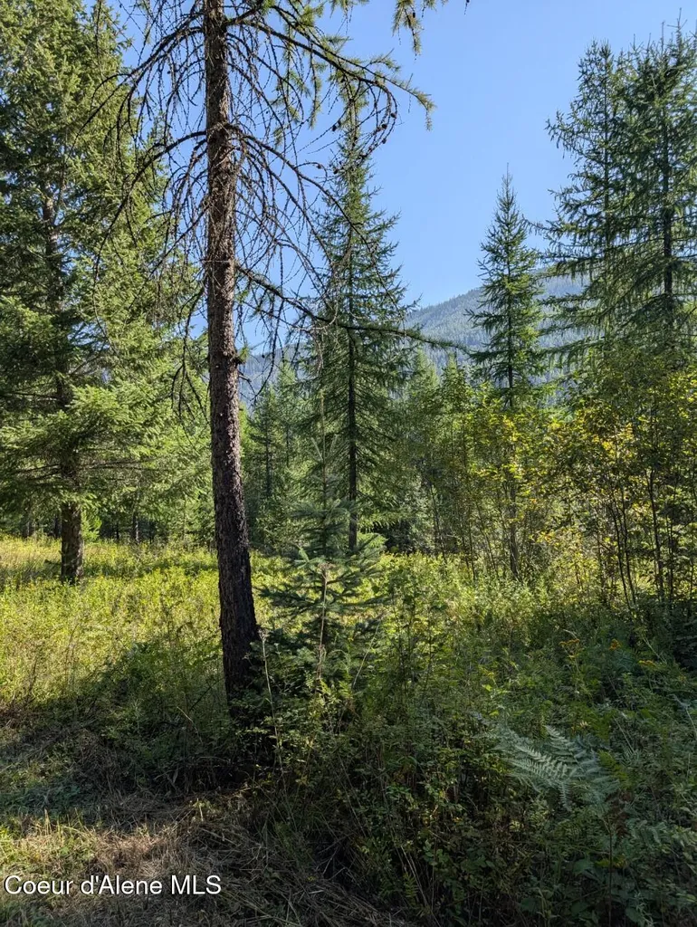 Nna 46 Acres Iron Horse Road Bonners Ferry ID 83805