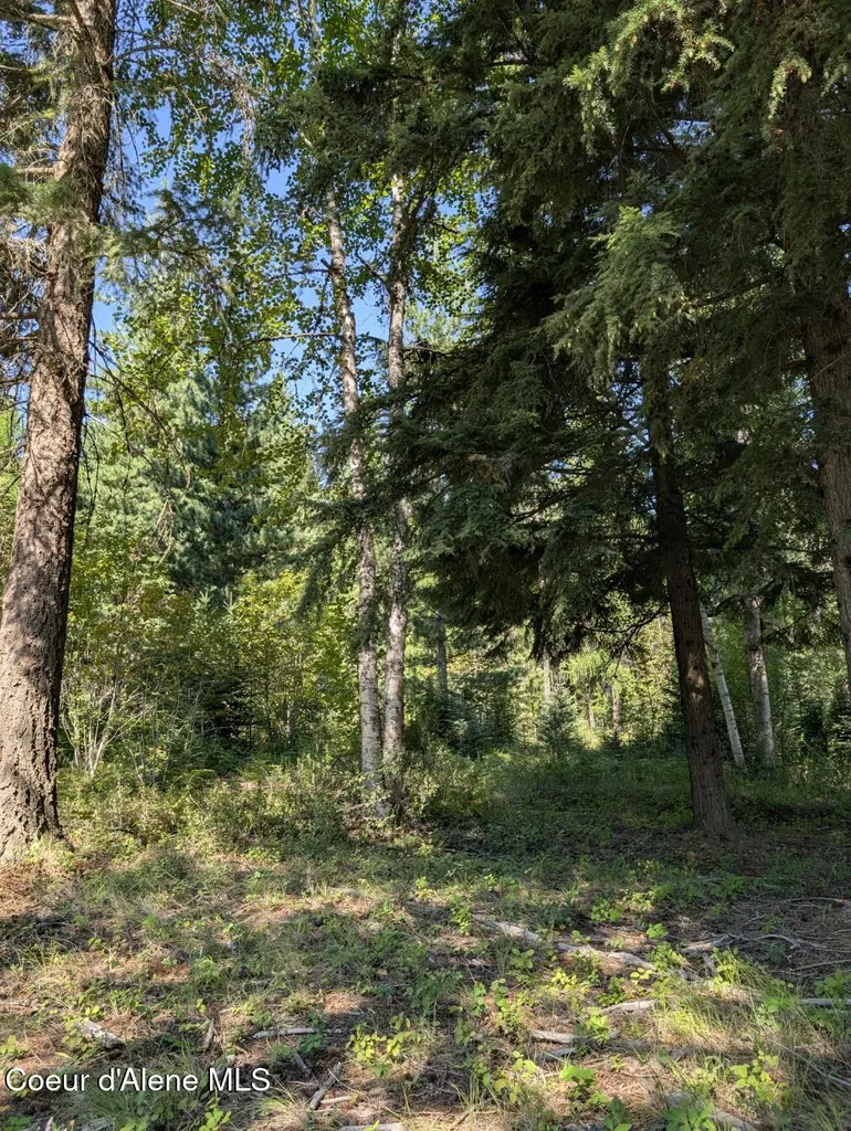 Nna 46 Acres Iron Horse Road Bonners Ferry ID 83805