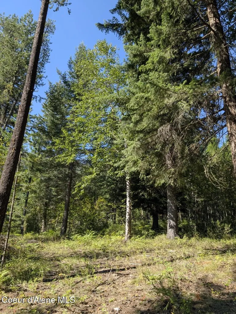 Nna 46 Acres Iron Horse Road Bonners Ferry ID 83805