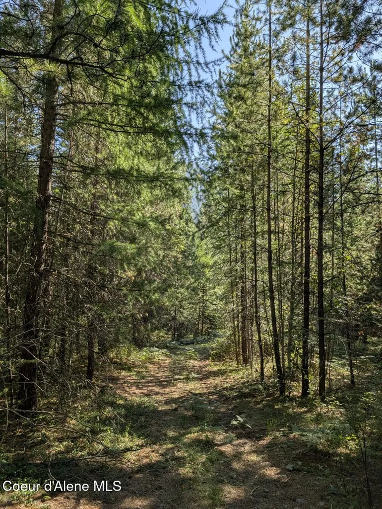 Nna 46 Acres Iron Horse Road Bonners Ferry ID 83805