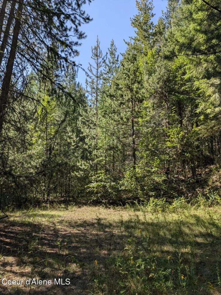 Nna 46 Acres Iron Horse Road Bonners Ferry ID 83805
