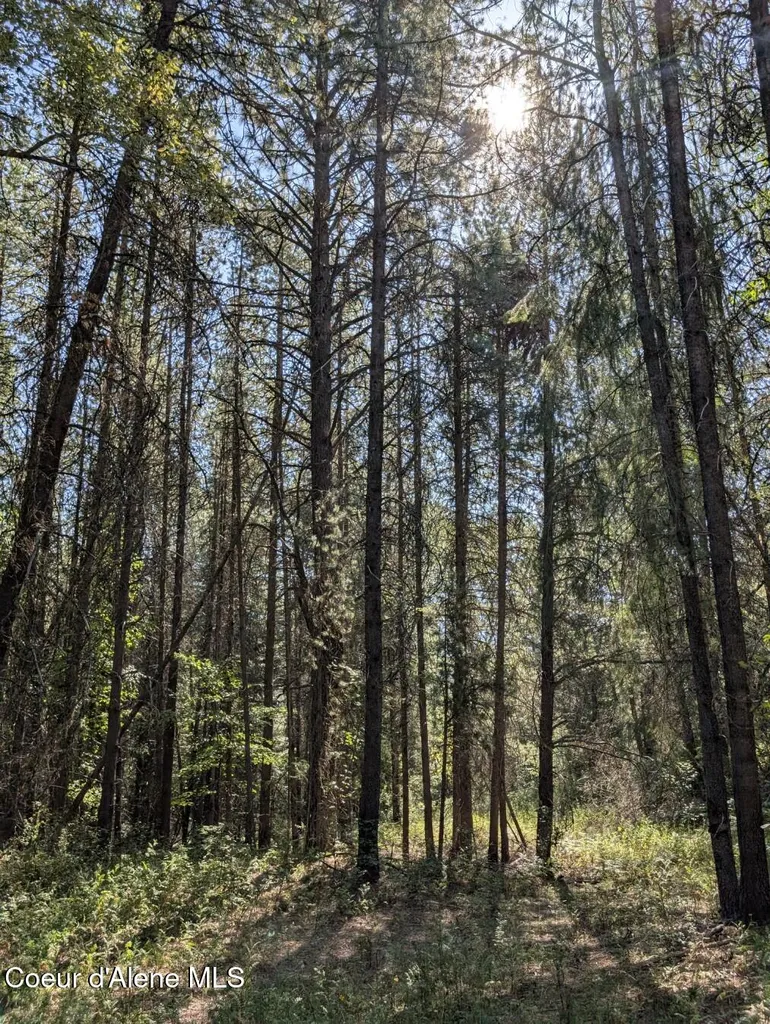 Nna 46 Acres Iron Horse Road Bonners Ferry ID 83805
