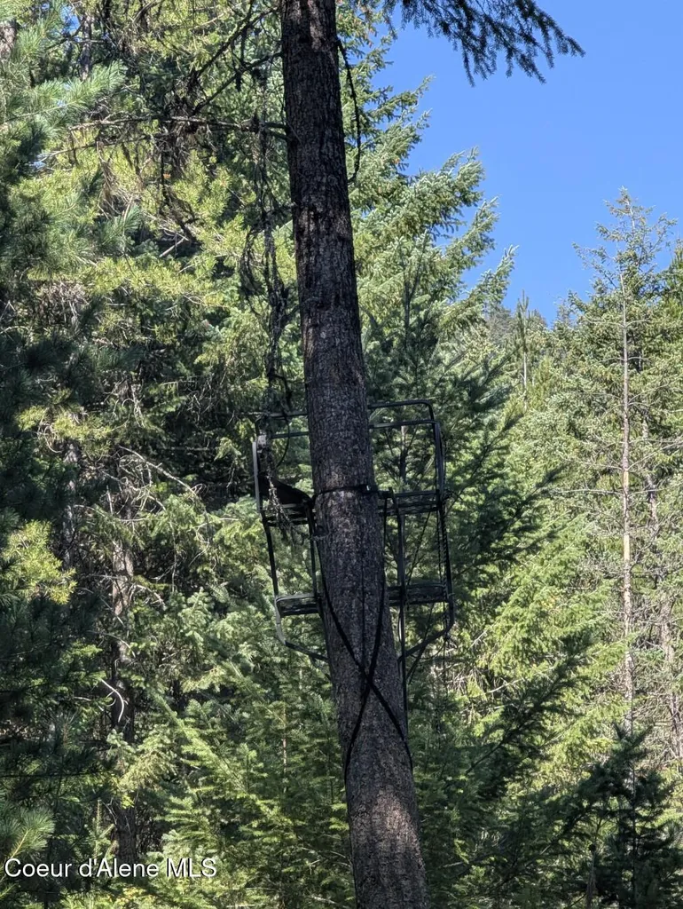 Nna 46 Acres Iron Horse Road Bonners Ferry ID 83805