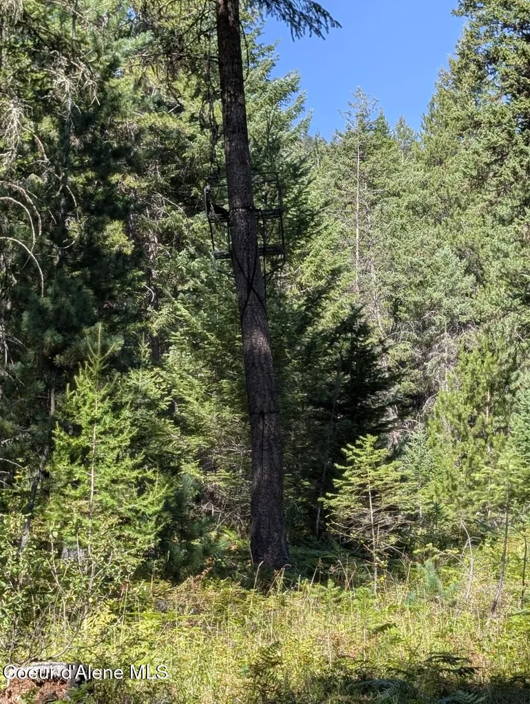 Nna 46 Acres Iron Horse Road Bonners Ferry ID 83805