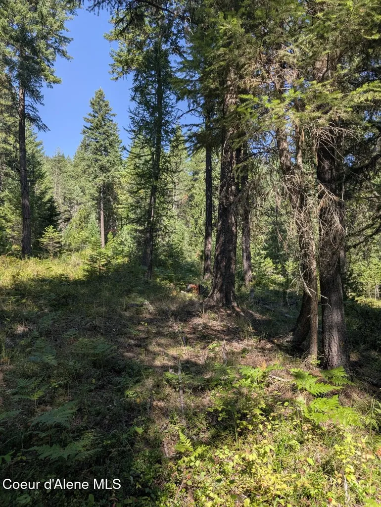 Nna 46 Acres Iron Horse Road Bonners Ferry ID 83805