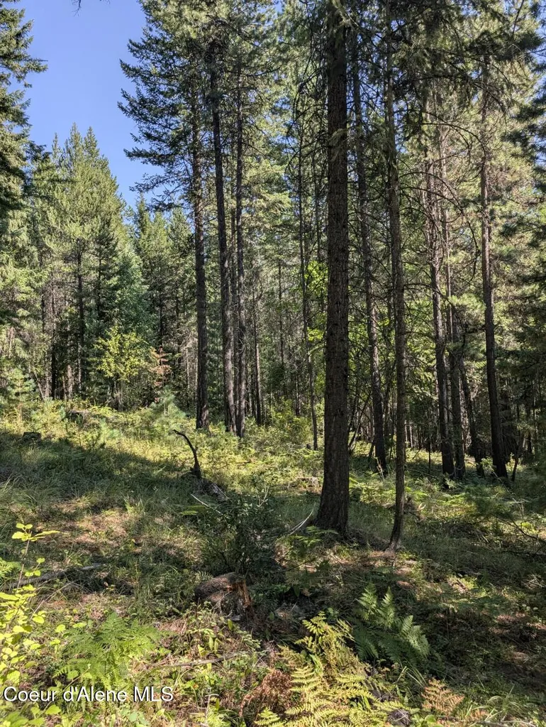 Nna 46 Acres Iron Horse Road Bonners Ferry ID 83805