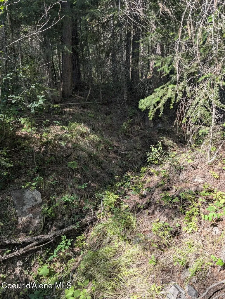 Nna 46 Acres Iron Horse Road Bonners Ferry ID 83805