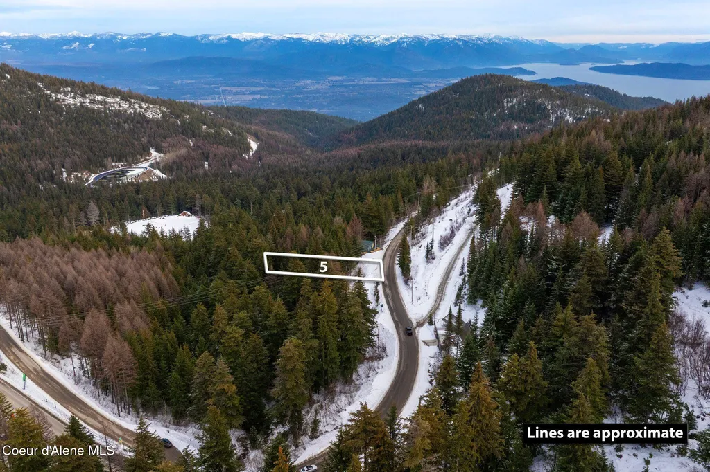 Nna Schweitzer Mountain Road Lot 5 Sandpoint ID 83864