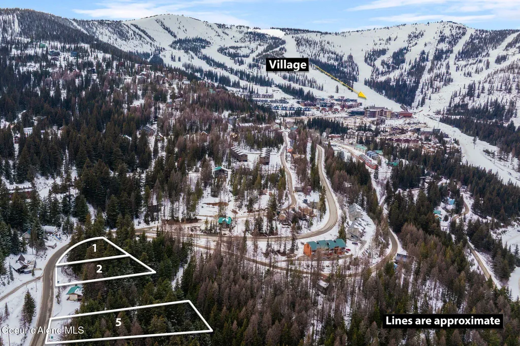 Nna Schweitzer Mountain Road Lot 5 Sandpoint ID 83864