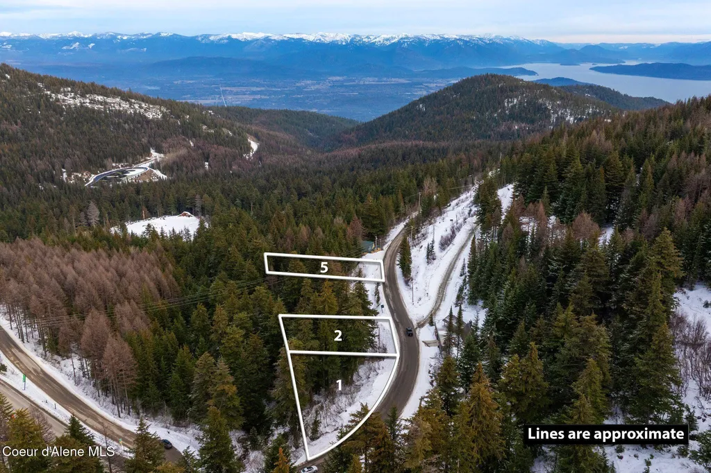 Nna Schweitzer Mountain Road Lot 5 Sandpoint ID 83864