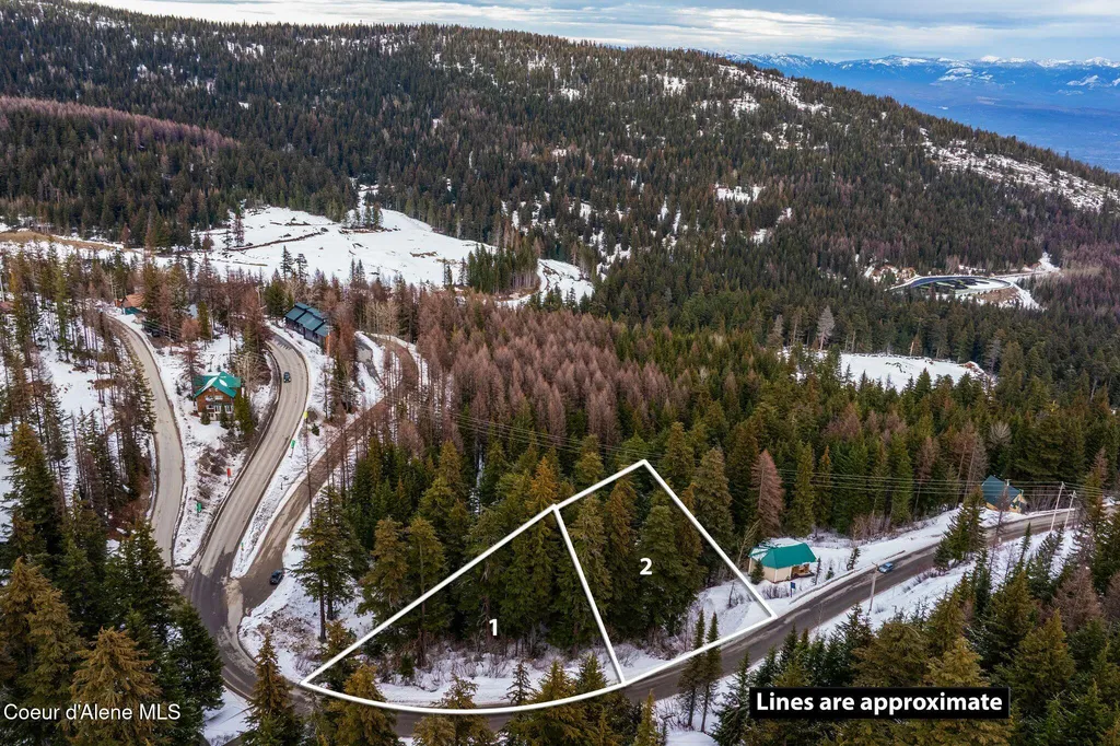 Nna Schweitzer Mountain Road Lot 2 Sandpoint ID 83864