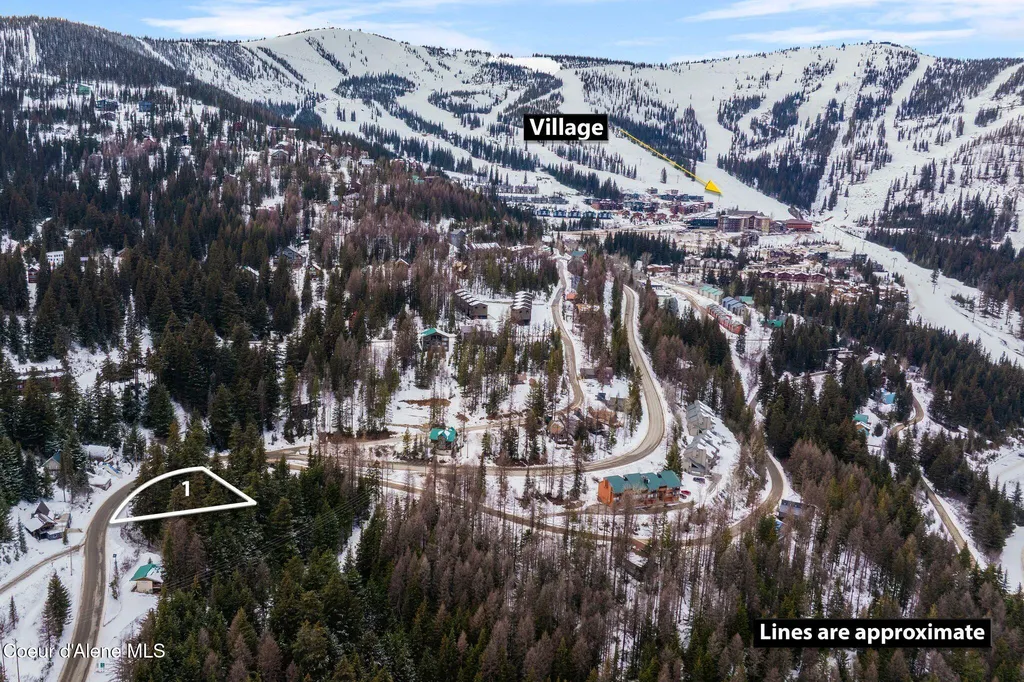 Nna Schweitzer Mountain Road Lot 1 Sandpoint ID 83864
