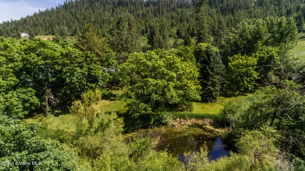 2834 W Conkling Road Worley ID 83876