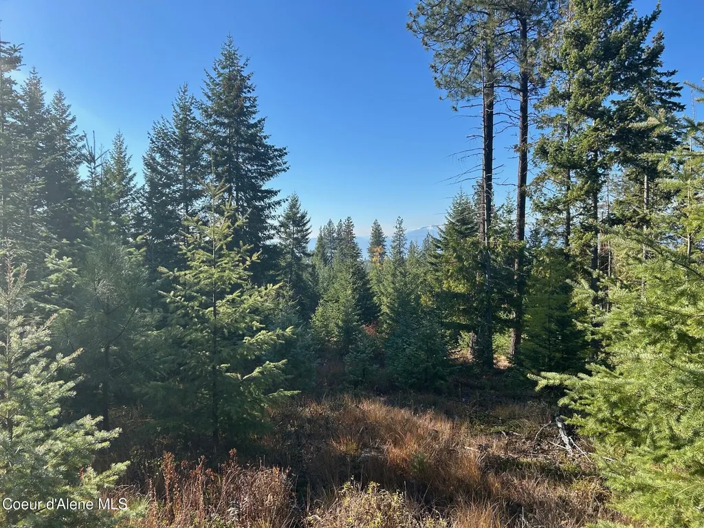 Tract C Usfs 2222a Bonners Ferry ID 83805