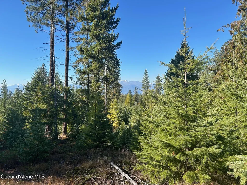 Tract C Usfs 2222a Bonners Ferry ID 83805