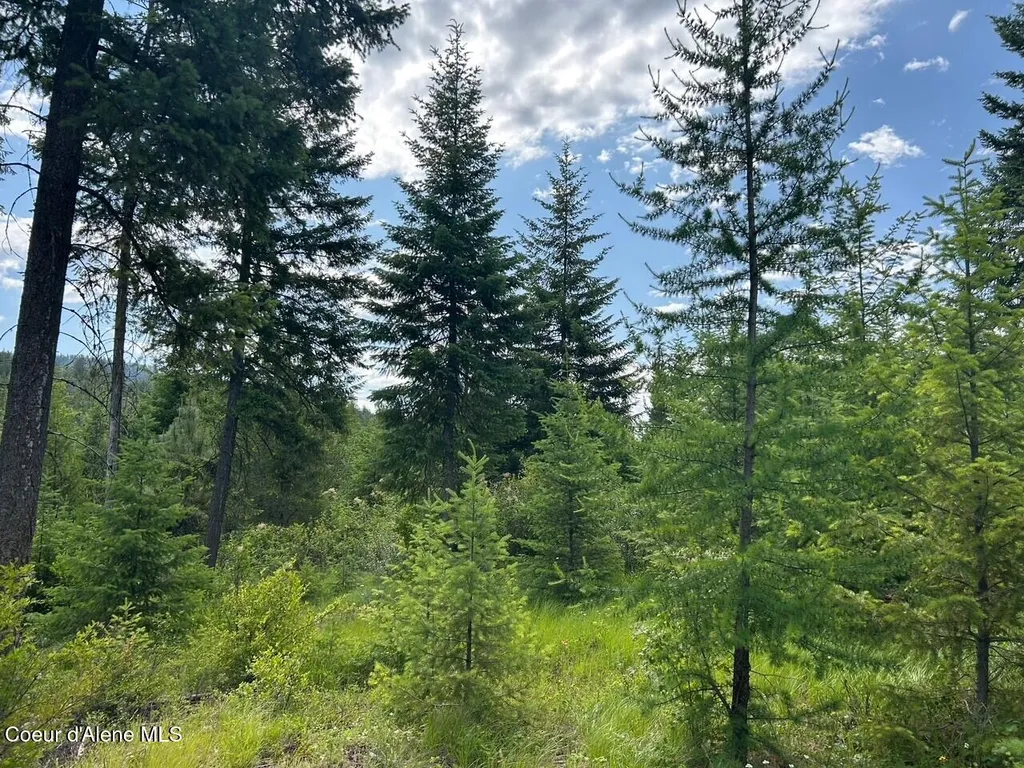 Tract C Usfs 2222a Bonners Ferry ID 83805