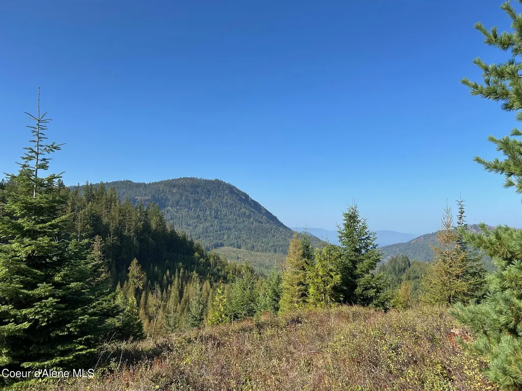 Tract 6 Usfs 2294 Clark Fork ID 83811