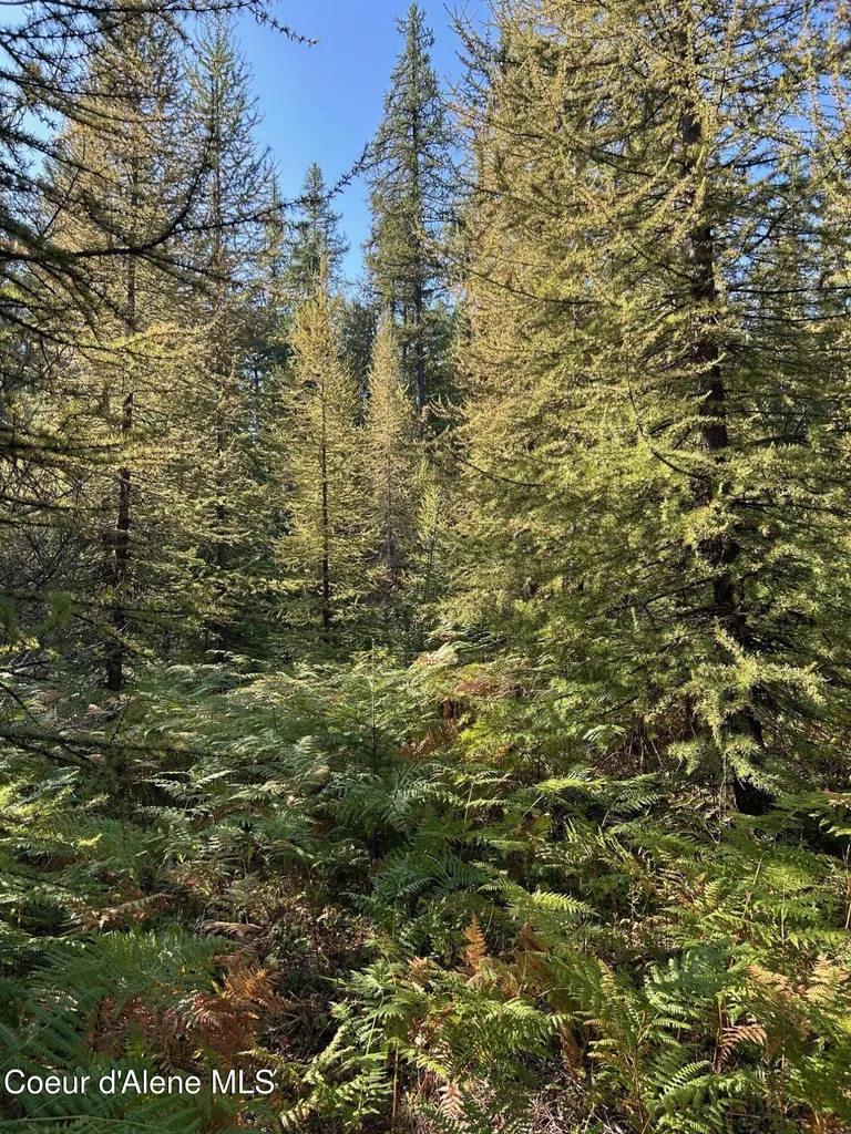 Tract 6 Usfs 2294 Clark Fork ID 83811