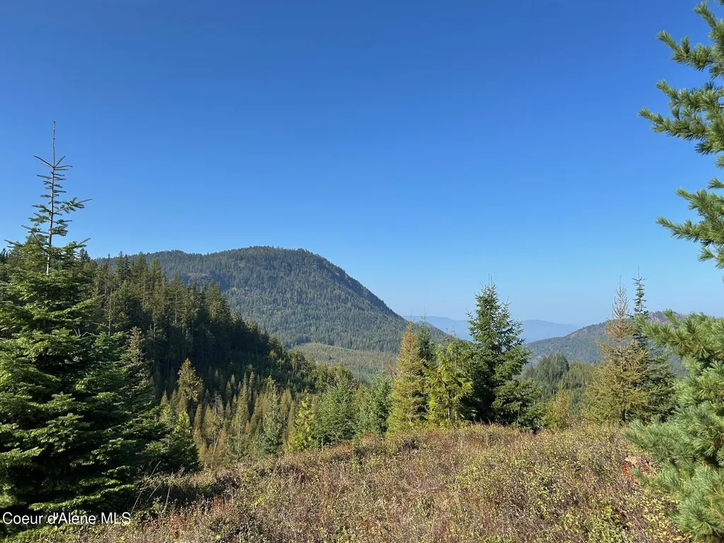 Tract 6 Usfs 2294 Clark Fork ID 83811